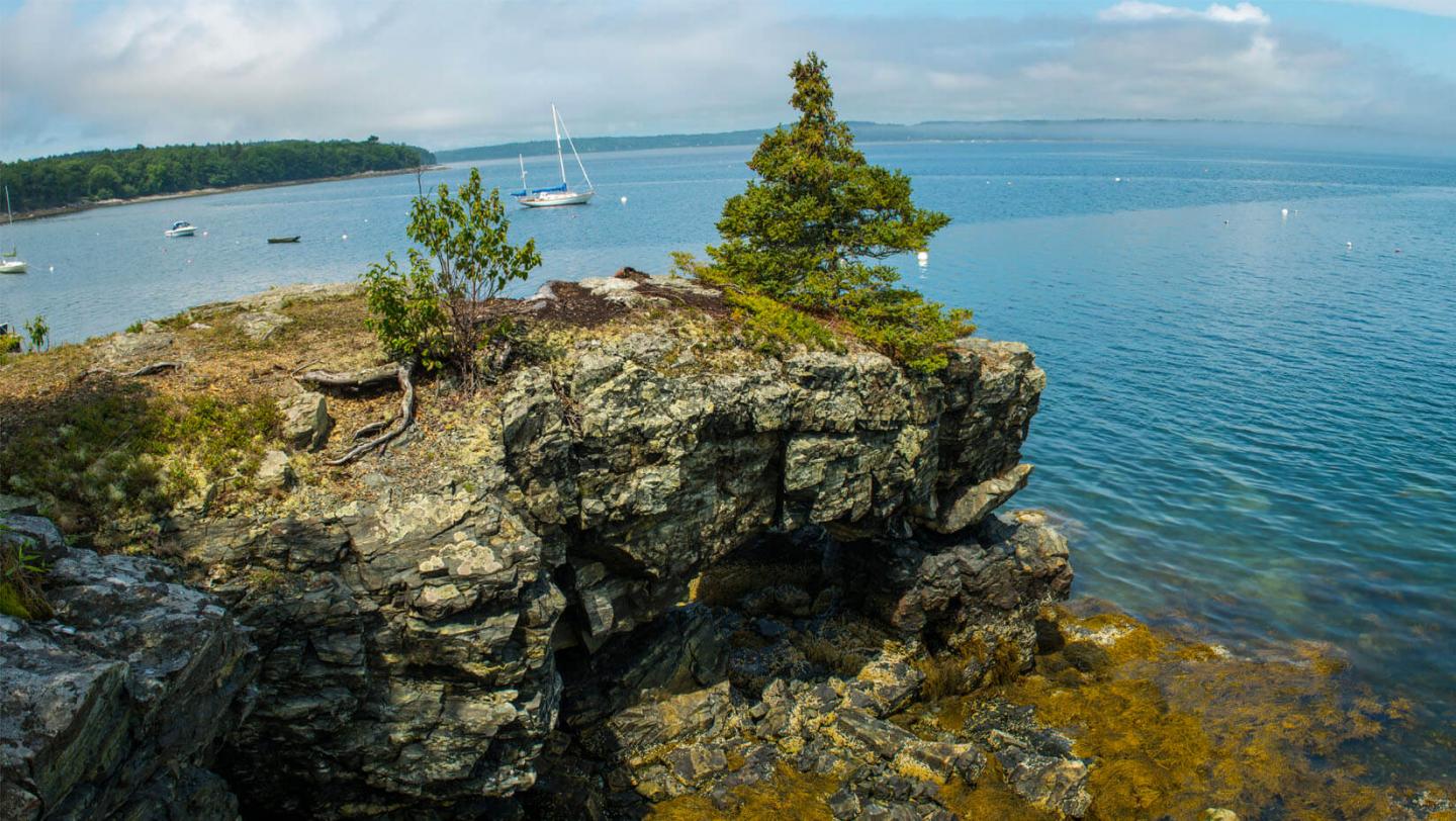 Coastline of the Gulf of Maine