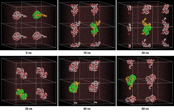 Molecular dynamics simulations of PEG 20-mer chain with two α-CD rings