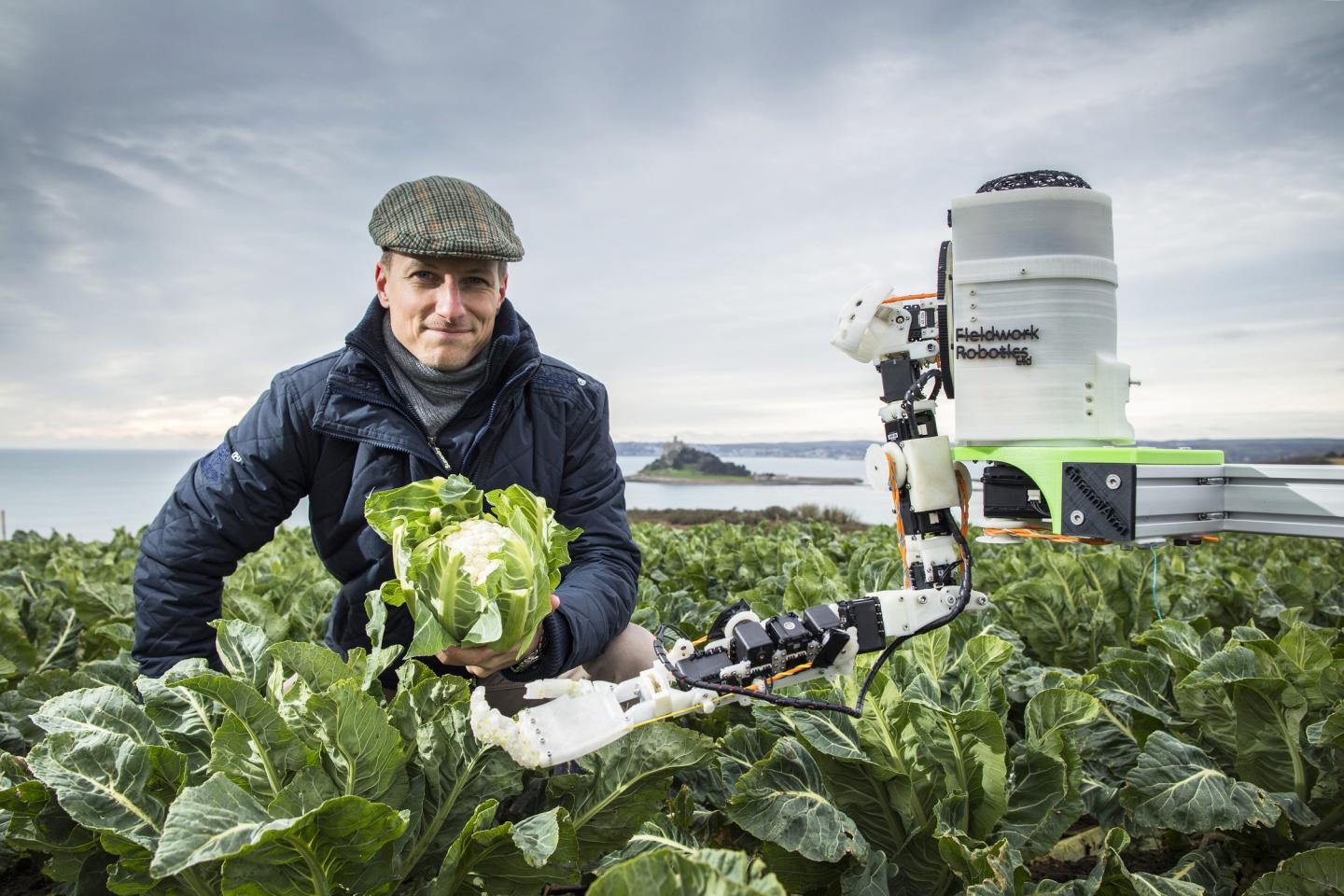 Harvesting Fobot