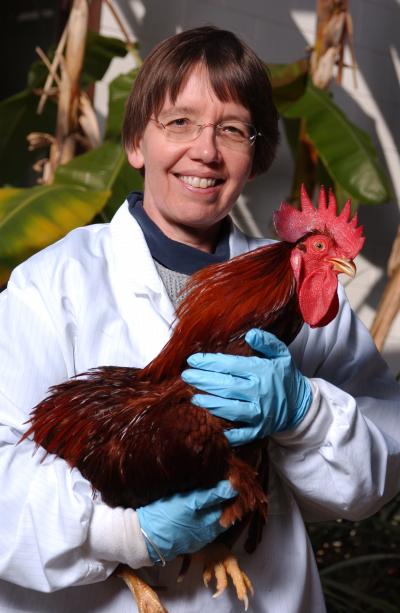 Neuroscientist Sue Semple-Rowland
