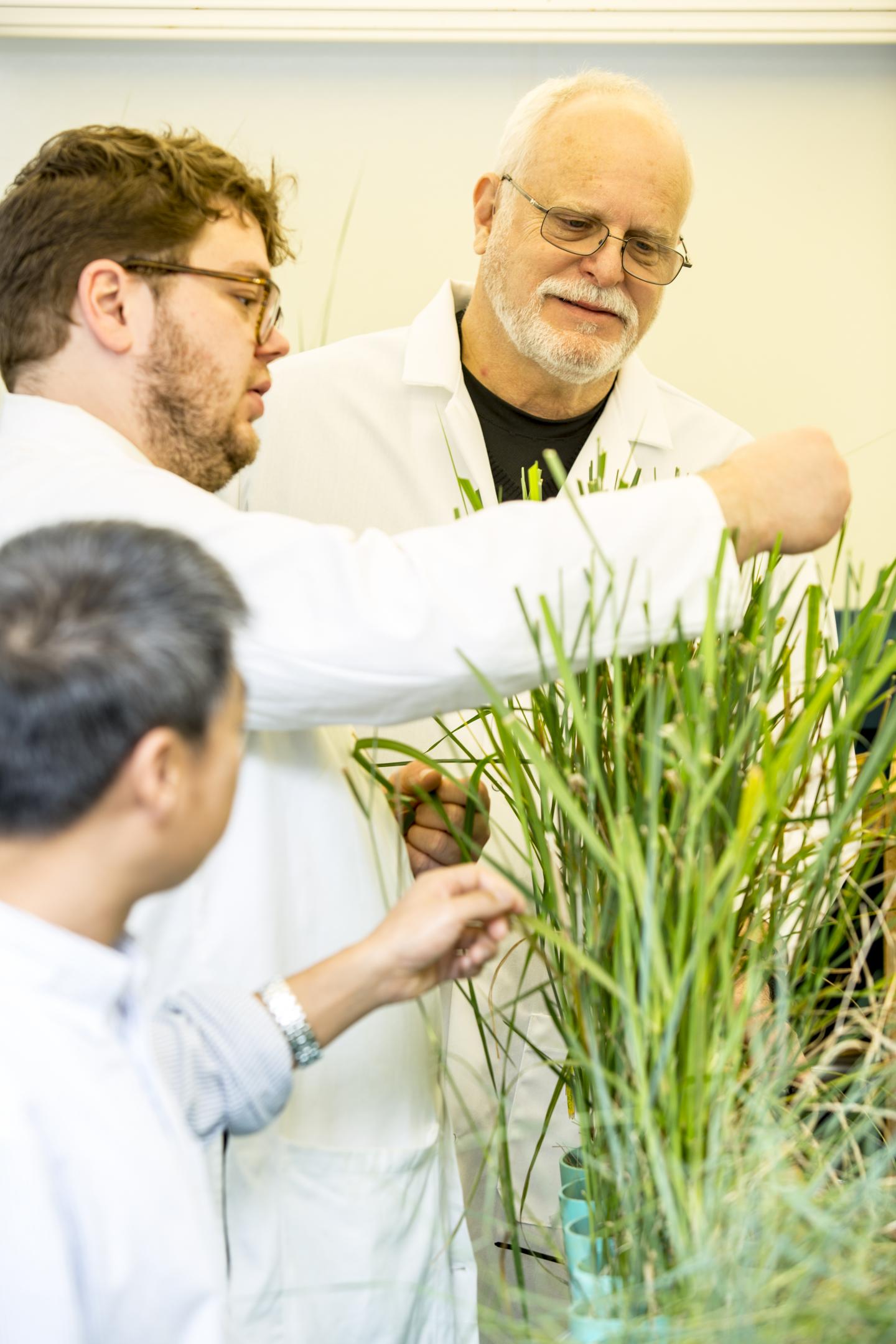RDX/Grass University of Washington Research Team