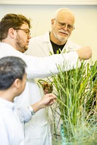 RDX/Grass University of Washington Research Team