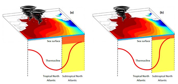 Schematic illustration of the oceanic thermal forcing of North Atlantic tropical cyclones