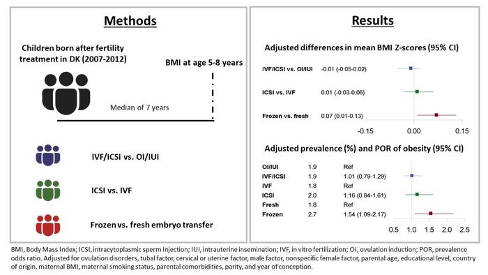 Assisted reproductive technologies not associated with body mass index in children, except when using frozen embryos – according to new Danish study