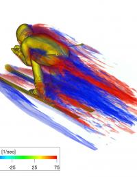 Computational Modeling Reveals Anatomical Distribution of Drag on Downhill Skiers (2 of 2)