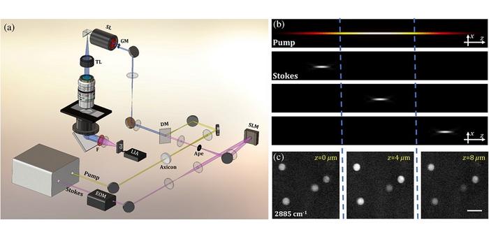 Phase-modulated stimulated Raman scattering tomography (PM-SRST) for the label-free 3D chemical imaging of cells and tissues: (a) setup schematic, (b) working principle, and (c) captured raw images.