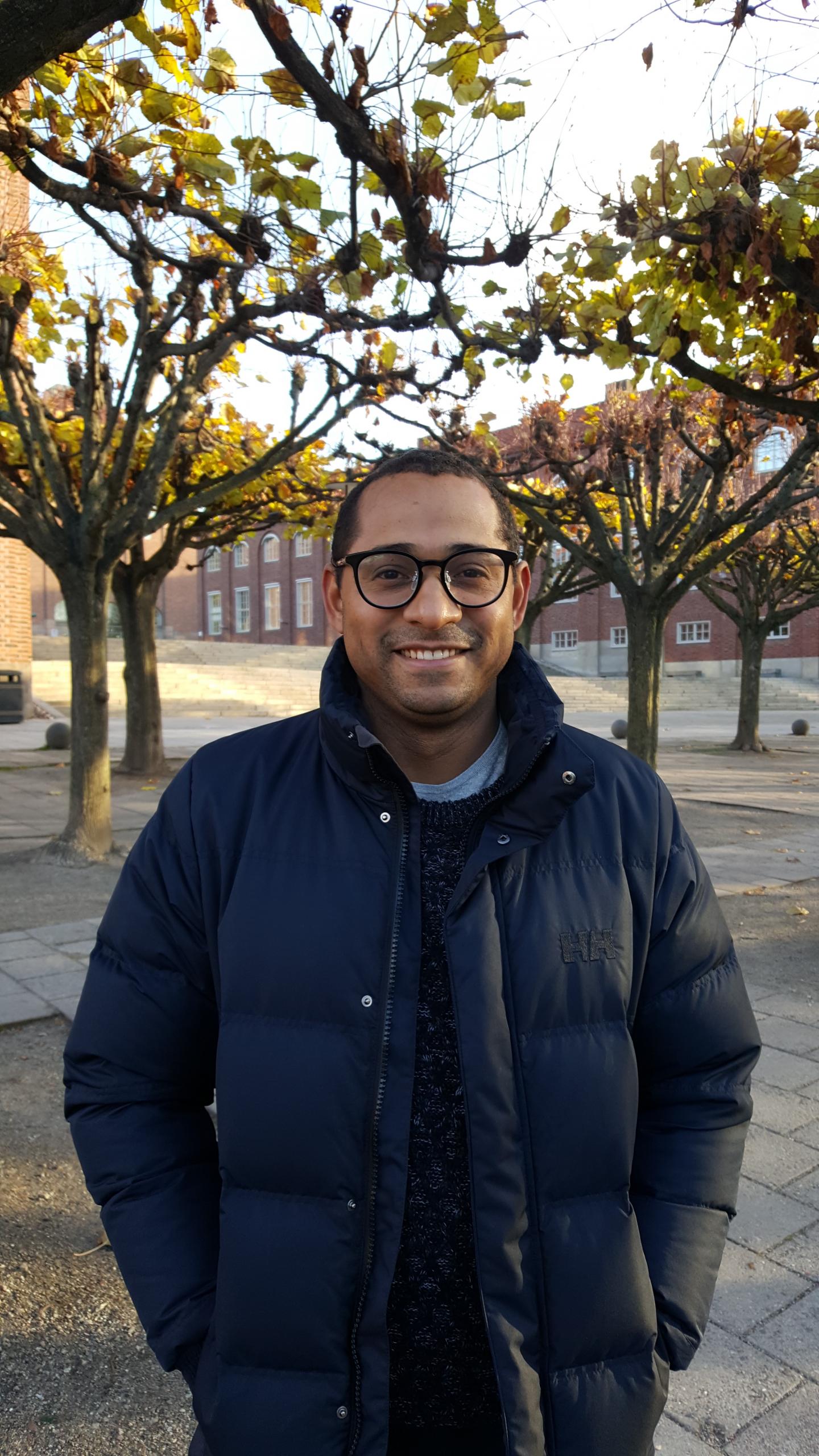 Flavio Freitas, Chalmers University of Technology