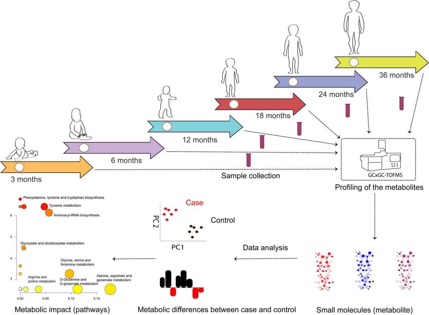 Overview of Metabolomics Workflow