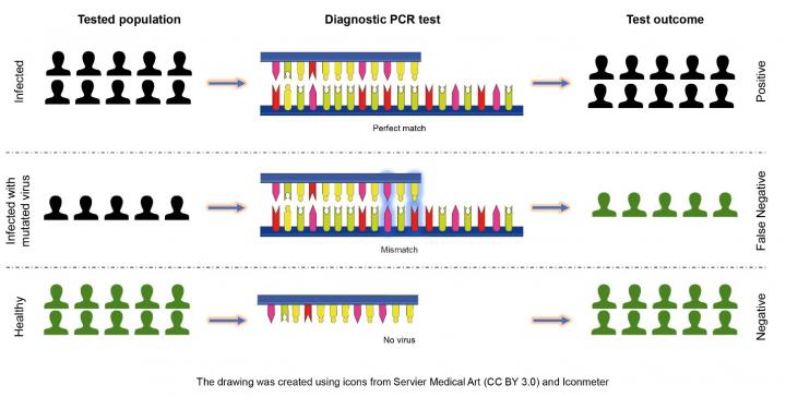 Illustration of COVID-19 Testing Outcomes