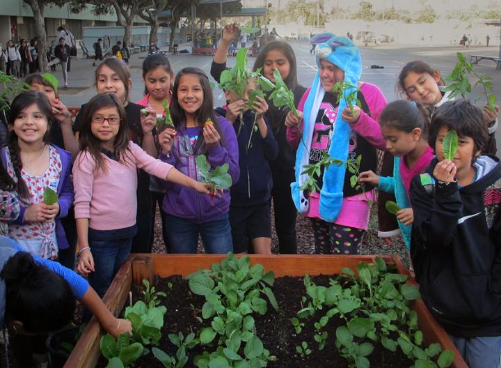 Children in the Los Angeles Sprouts Program