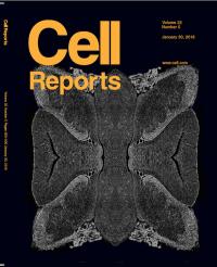 <i>Cell Reports</i>