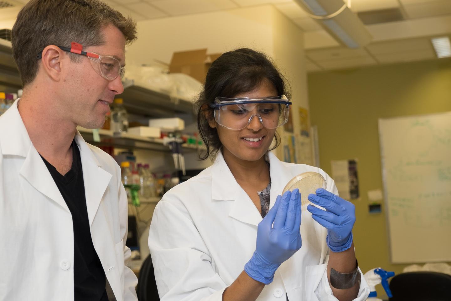 Jeffrey Tabor and Prabha Ramakrishnan