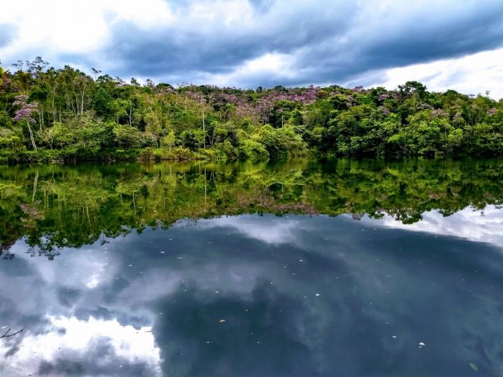 Land use and land cover in the Atlantic Forest biome, Brazil. Native