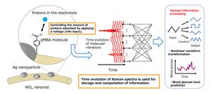 High-precision blood glucose level prediction