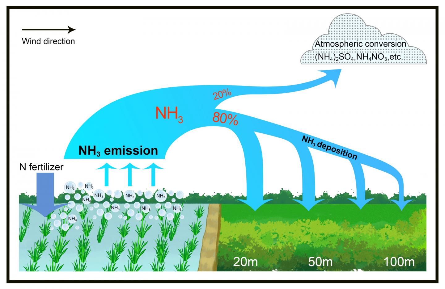 surprise-ammonia-emitted-from-fertilized-pad-eurekalert