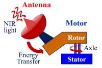 Cartoon of the newly designed molecular motor