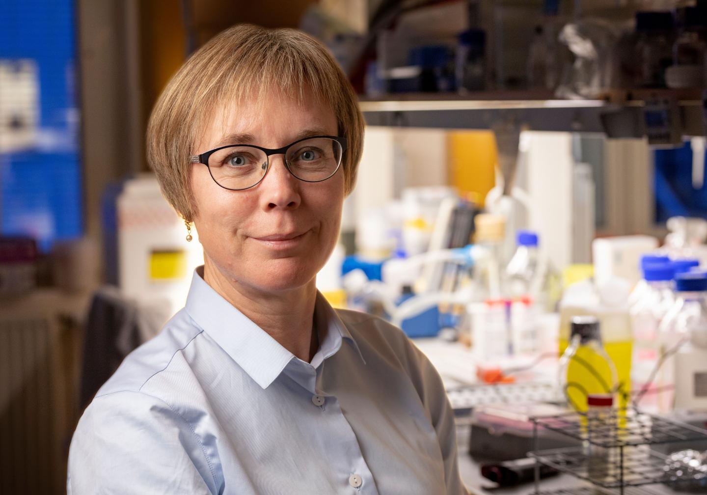 Karin Forsberg Nilsson, Professor at Department of Immunology, Genetics and Pathology, Uppsala University