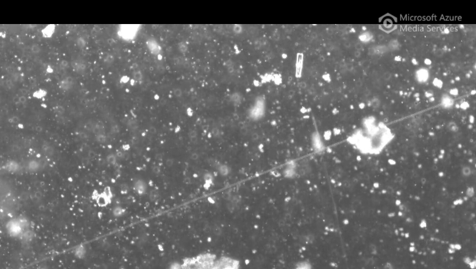 Bacteria flock around a cable bacteria, until the cable is cut