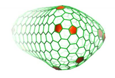 Capsid
