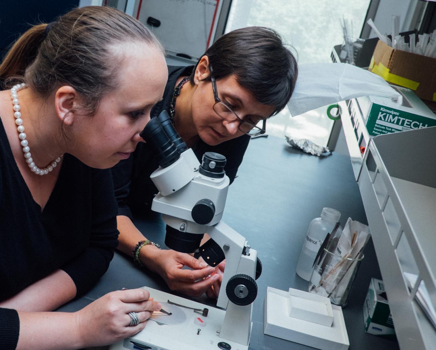 Eteri Svanidze and Emilia Morosan