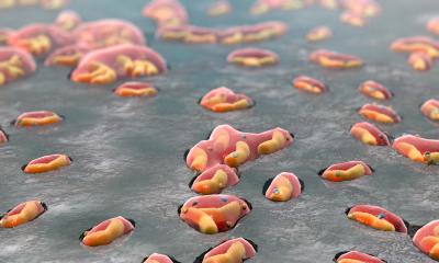 Bacteria at Work Extracting Metals from Natural Ores