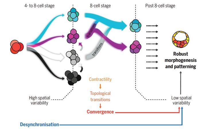 From chaos to structure