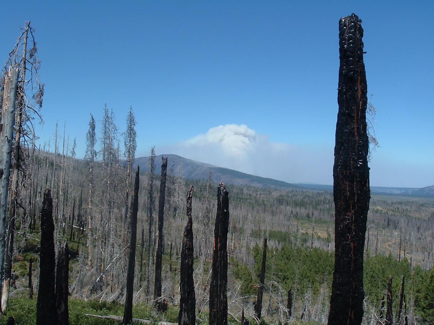 Warm Springs lightning complex