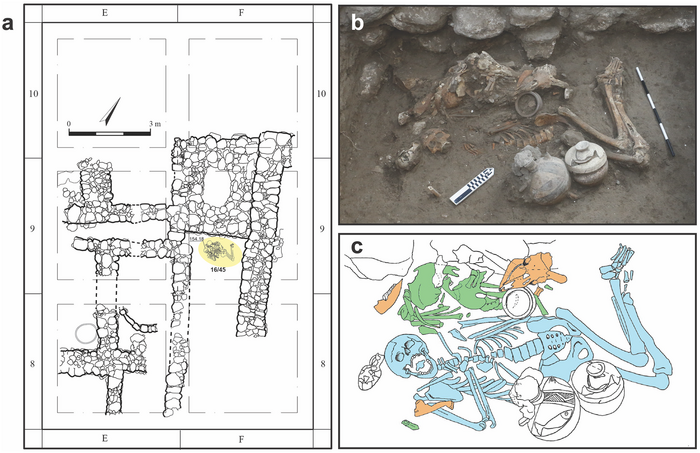 Cranial trephination and infectious disease in the Eastern Mediterranean: The evidence from two elite brothers from Late Bronze Megiddo, Israel