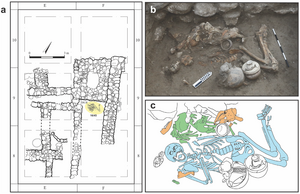 Cranial trephination and infectious disease in the Eastern Mediterranean: The evidence from two elite brothers from Late Bronze Megiddo, Israel