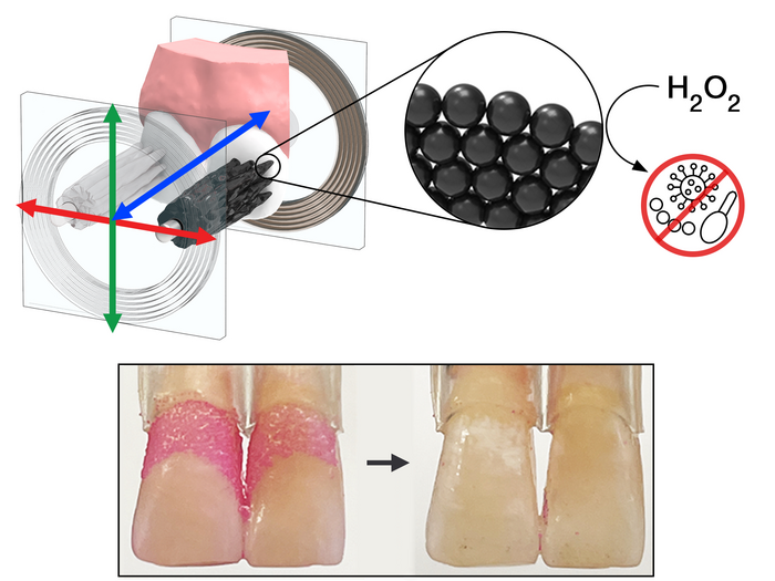 Microrobots to clean teeth