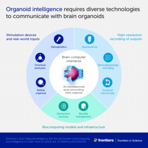Organoid intelligence requires diverse technologies to communicate with brain organoids