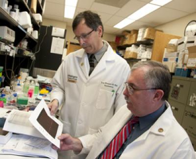 Evan Kharasch, M.D., Ph.D., and Jerry Morrissey, Ph.D., Washington University School of Medicine