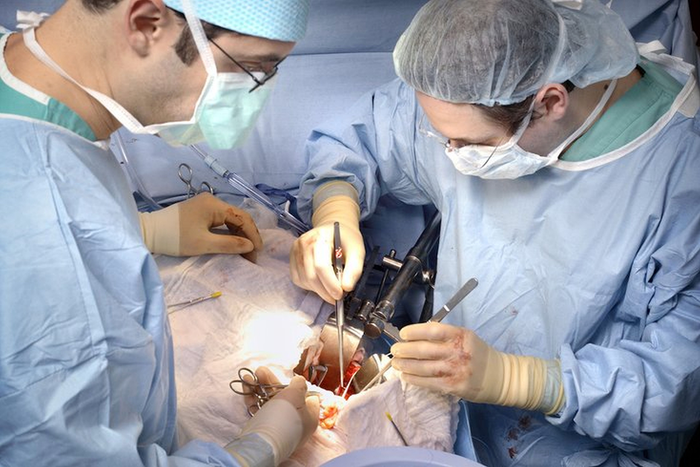 AKI Kidney Transplantation, Surgery