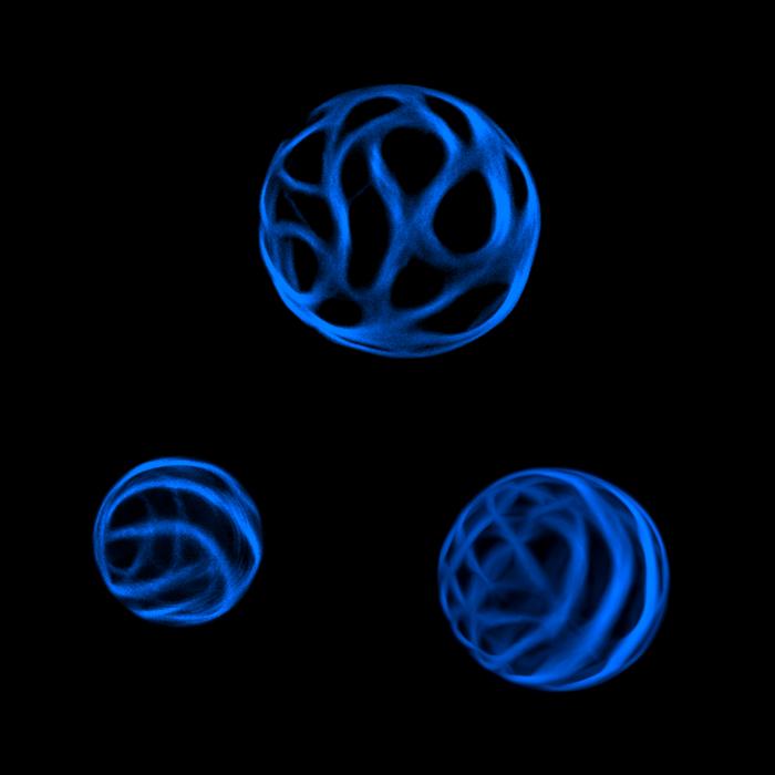 Banding patterns in specialized cell walls