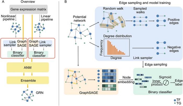 GRINCD overview