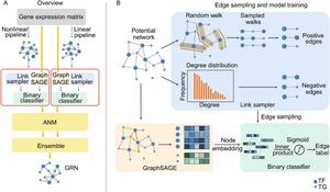 GRINCD overview