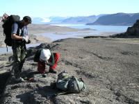 Lower Silurian rocks of the Turesø Formation, Centrum Sø, Kronprins Christian Land, North Greenland
