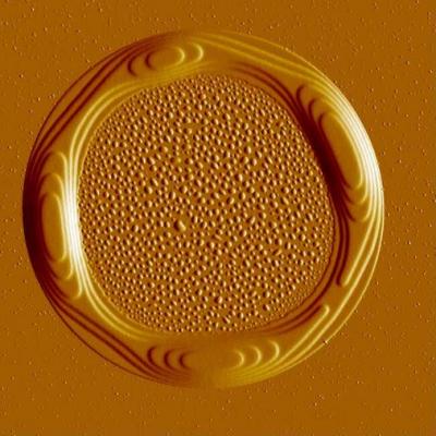 AFM Tapping Amplitude