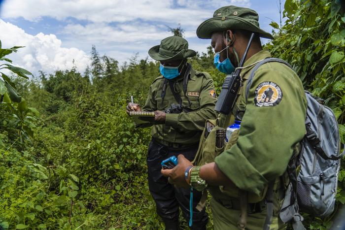 Virunga National Park rangers