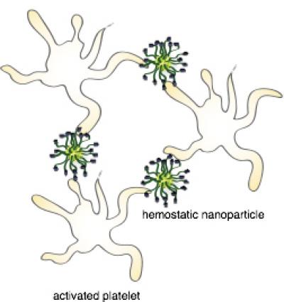 Increasing Survival Rate