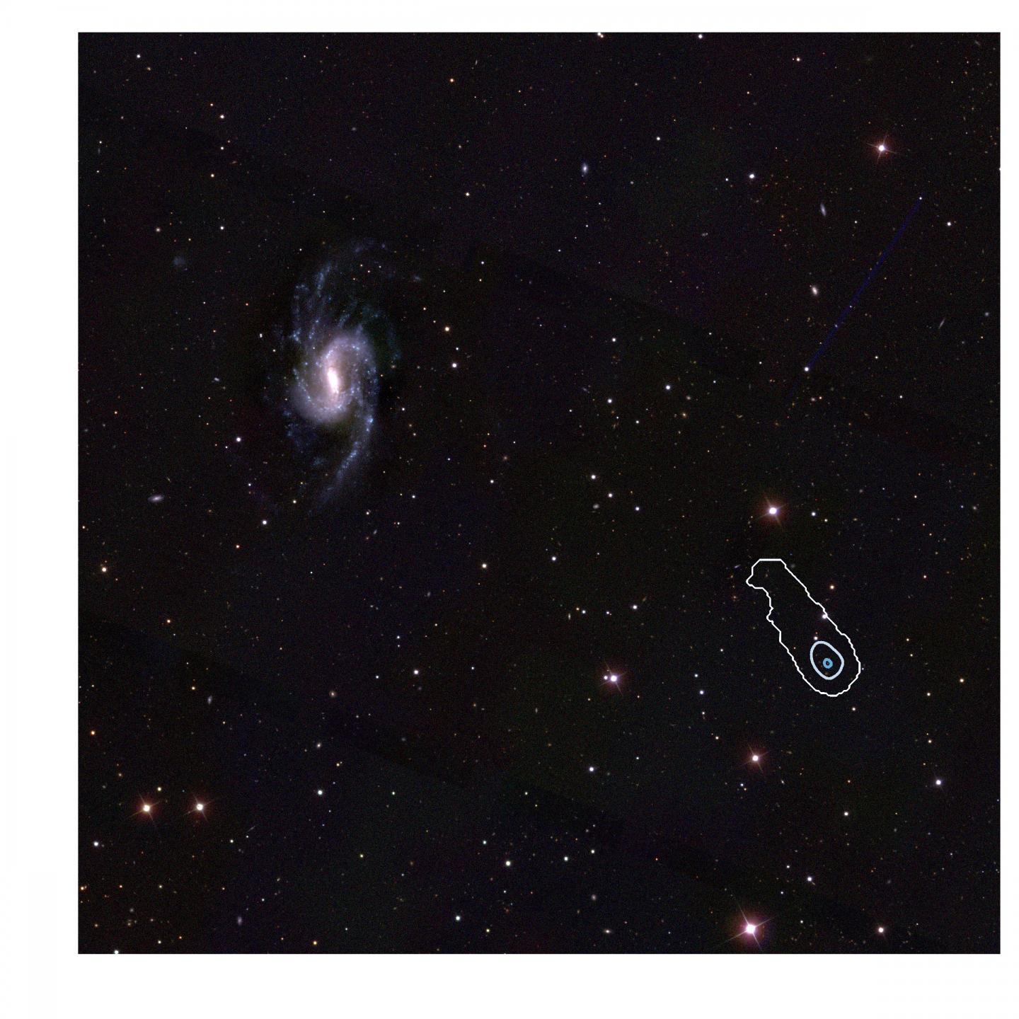 Little Cub (Contours)