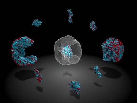 Iron-Platinum Nanoparticle