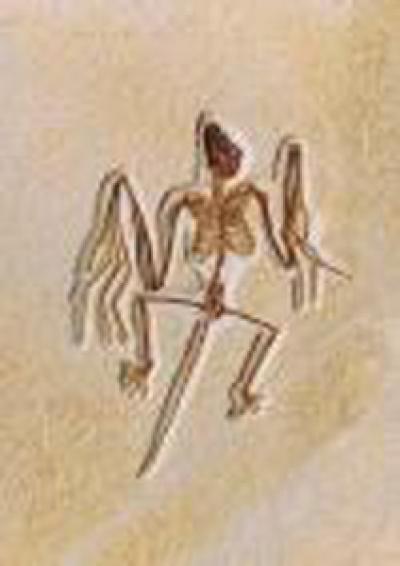 Fossil Bat