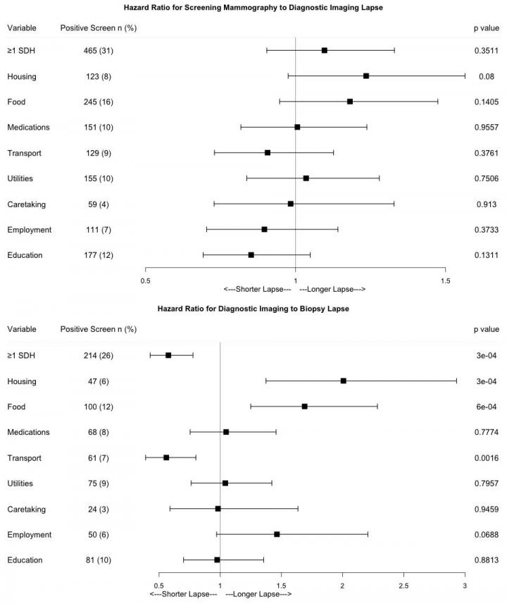Food, Housing Insecurities May Delay Breast Cancer Diagnosis