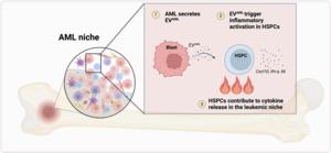 Trained and ready - the case for an inflammatory memory for hematopoietic stem and progenitor cells in the AML niche