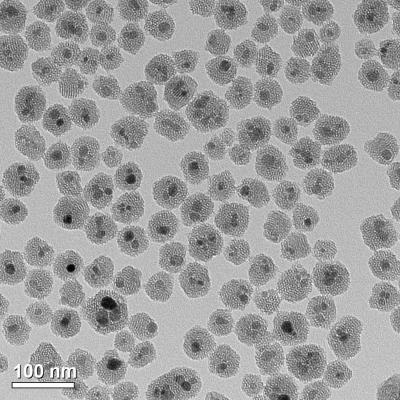 Iron Oxide Nanoparticles