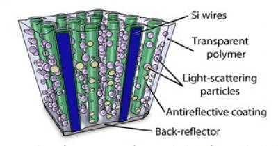Silicon Wire Array Schematic