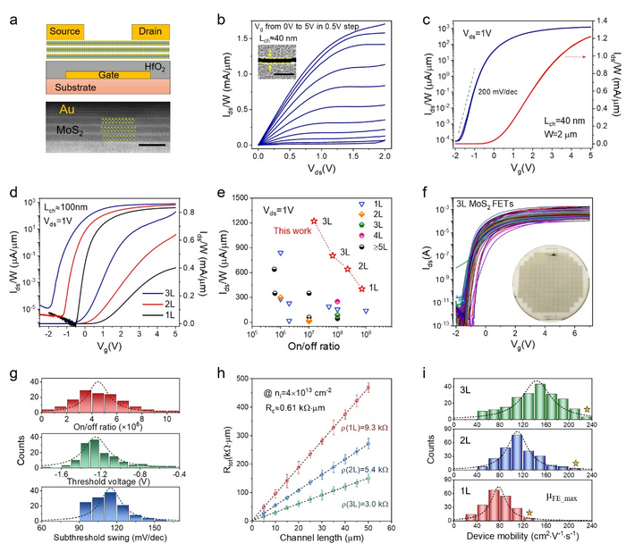 Bench-mark electronic quality of multilayer MoS2 field-effect transistors