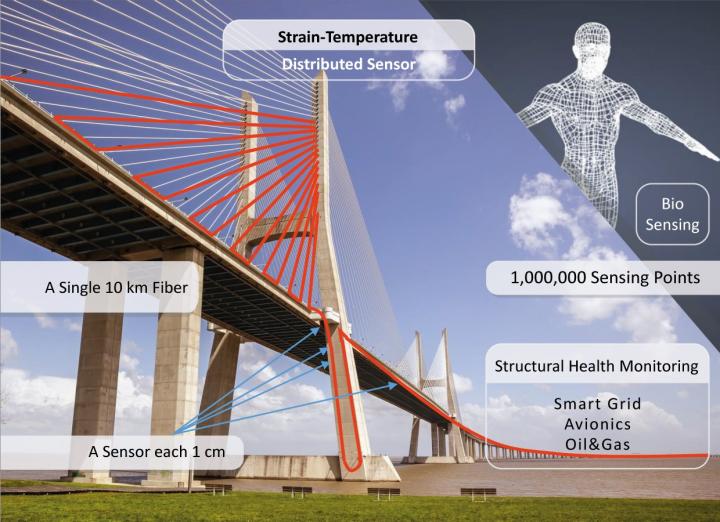 Strain-Temperature Distributed Sensor