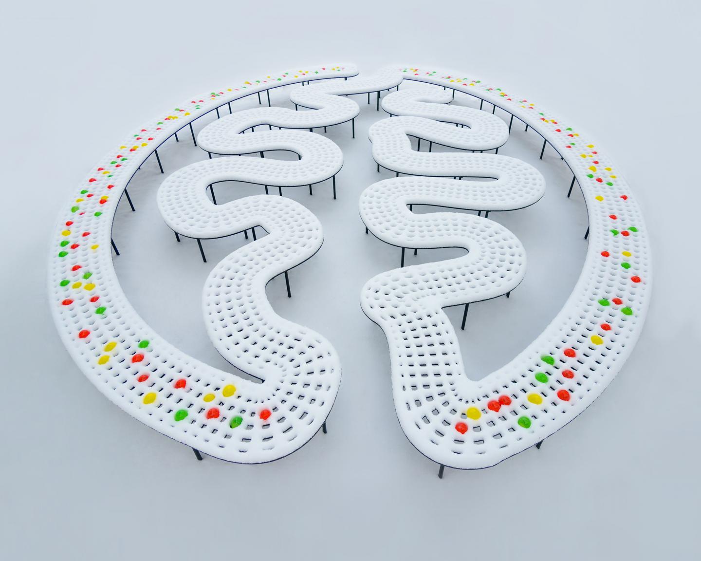 MADM in the Snow Brain